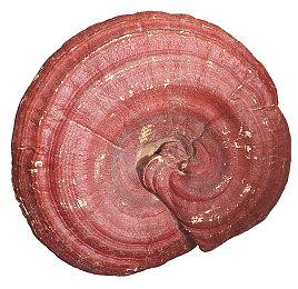 《多重人生》新预告介绍游戏基础内容 上市日期未知